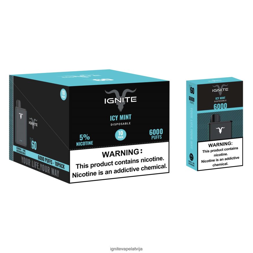 Ignite E Cigarette | IGNITE V60 vape pildspalva 10 pac ledaina piparmētra V22L8020
